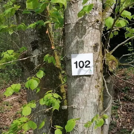 L'evasion - 102 * Durbuy